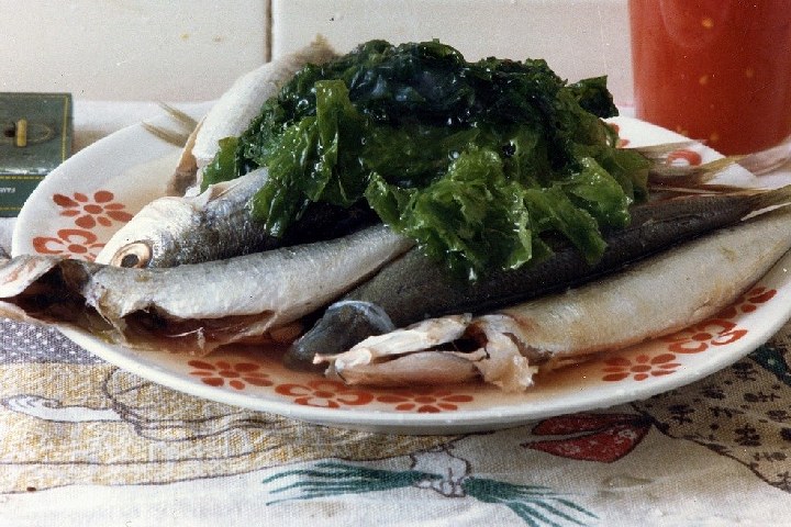 Basa fish